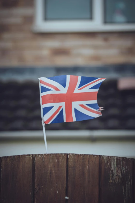 flag in front of a building in the day time