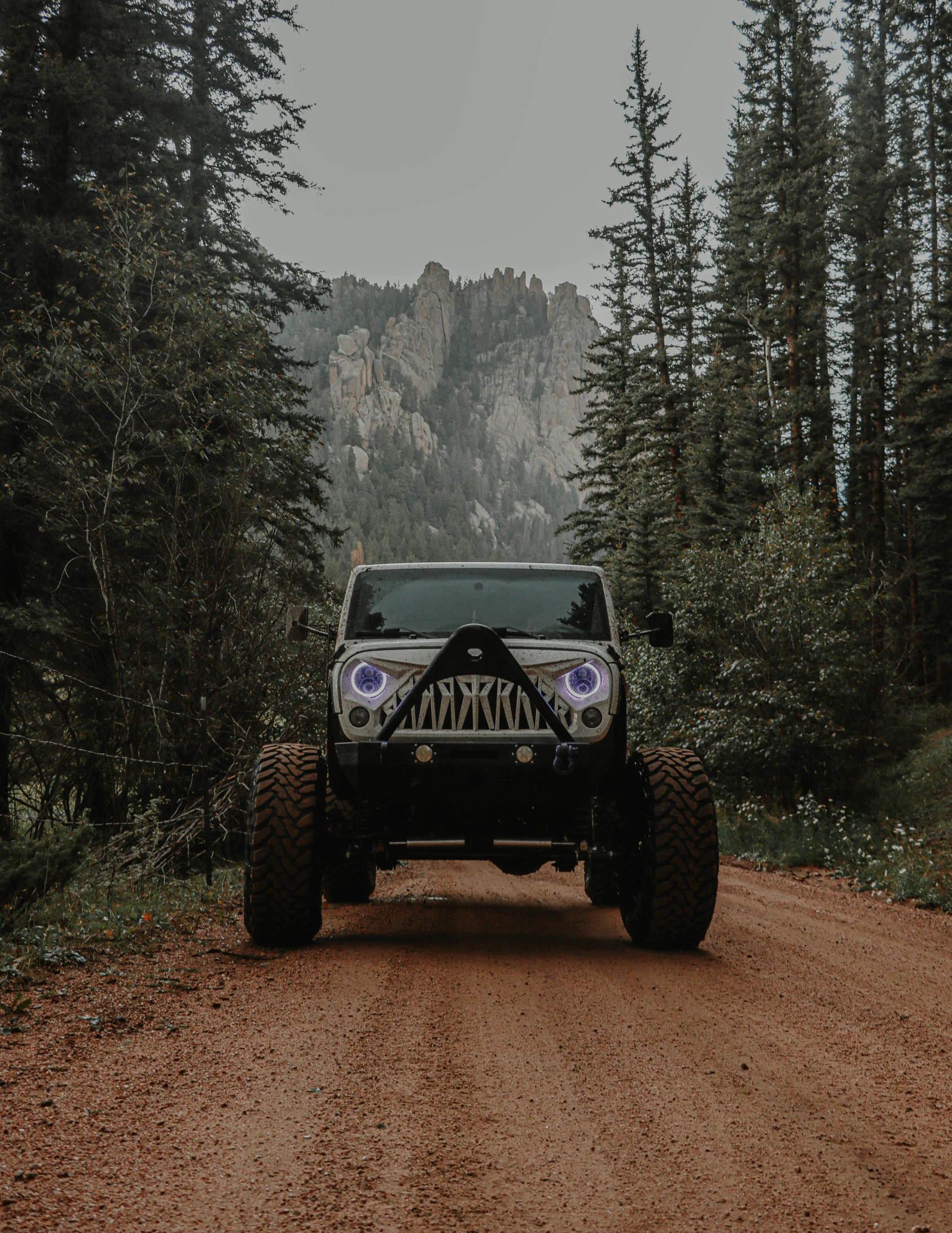 an off road truck driving on a wooded path