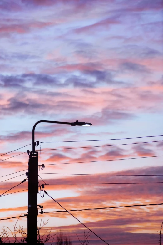 the pink and purple sky above power lines