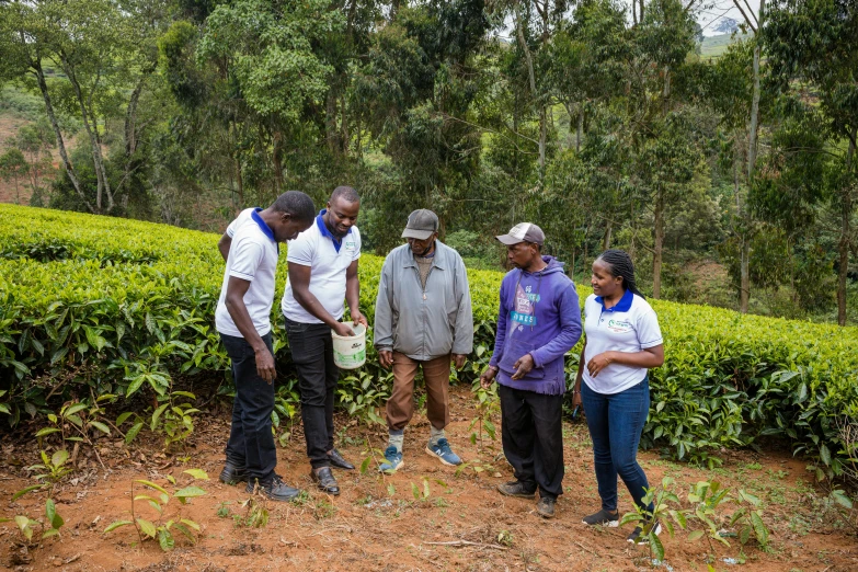 a group of people standing on top of a dirt road