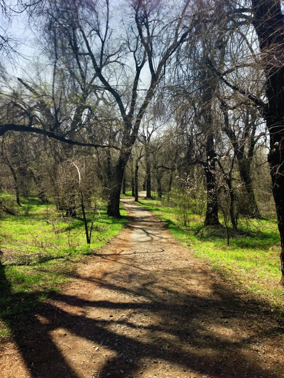 a dirt path with no one on it