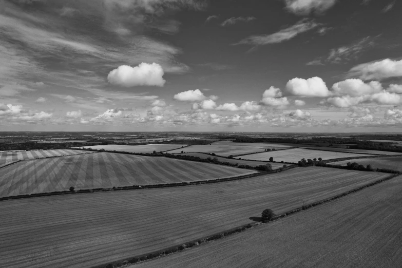 a black and white image of a lush green field