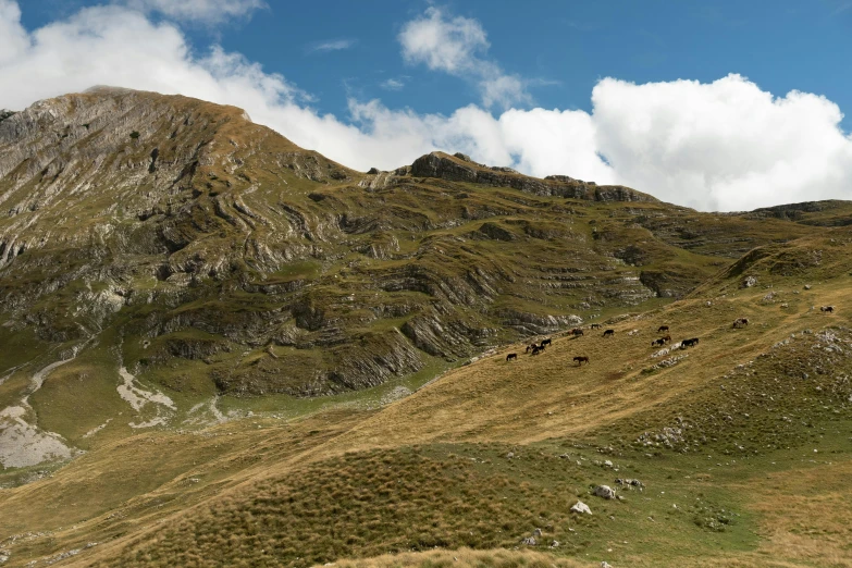 a big grassy hill that is on top of a mountain