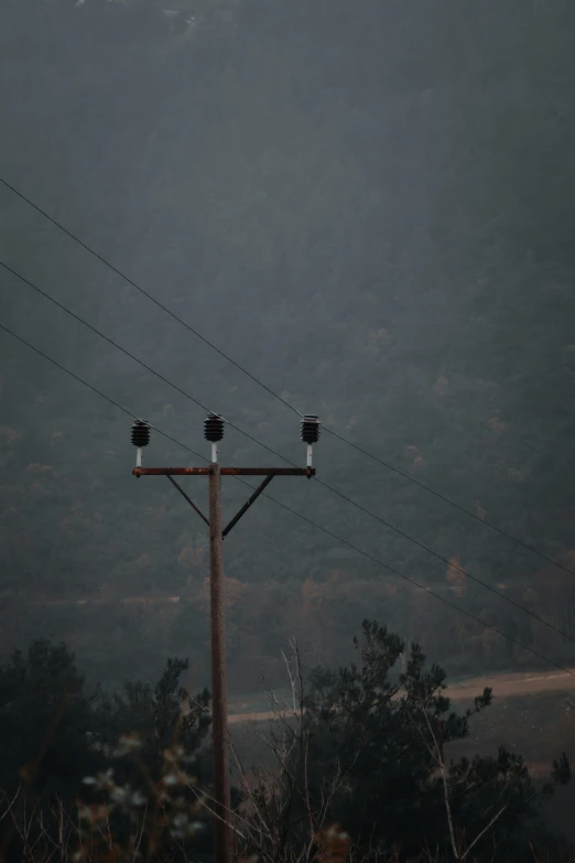 three candles in the middle of an electric pole with some trees behind them