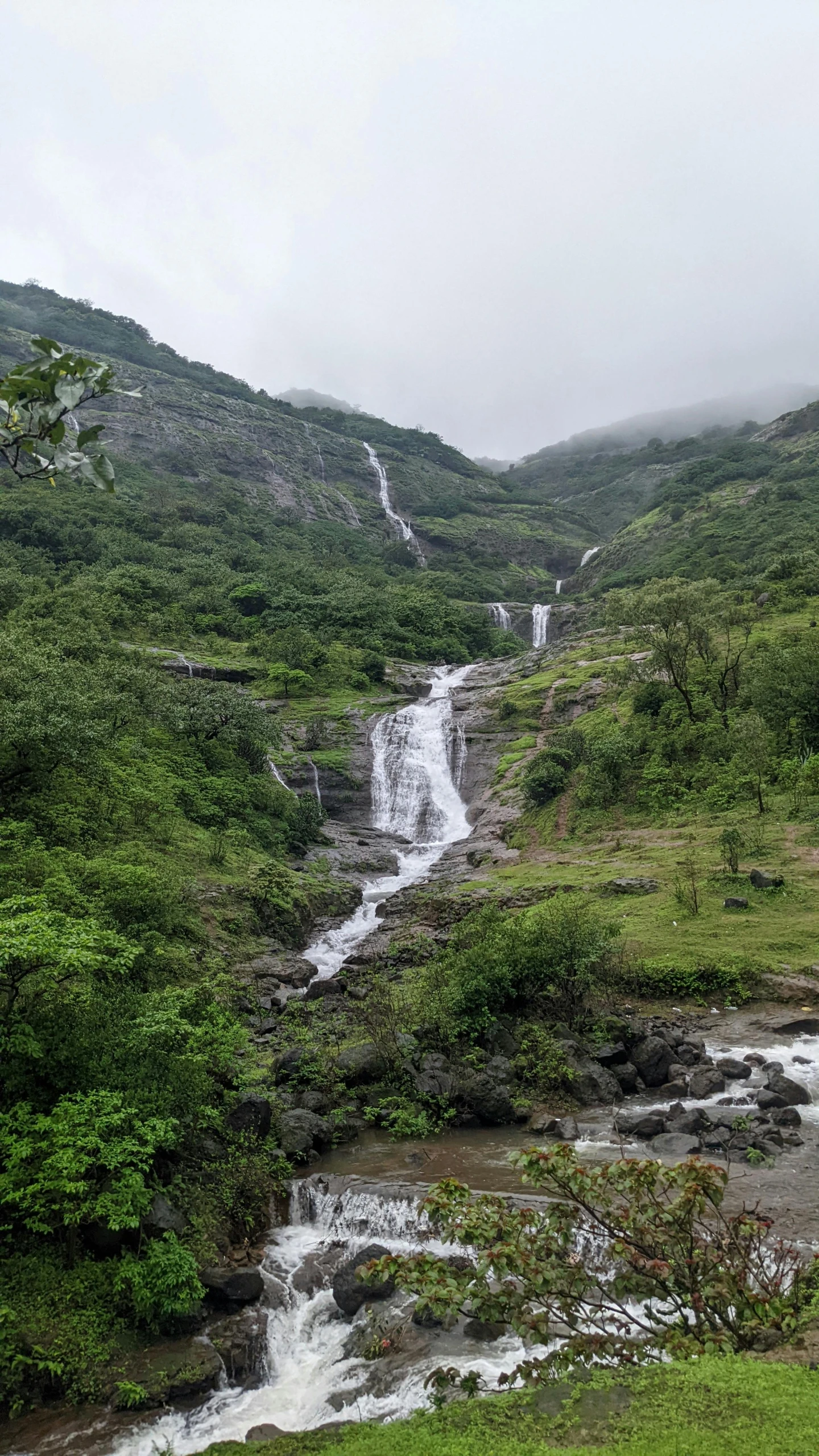 water rushing down the side of a mountain covered in green