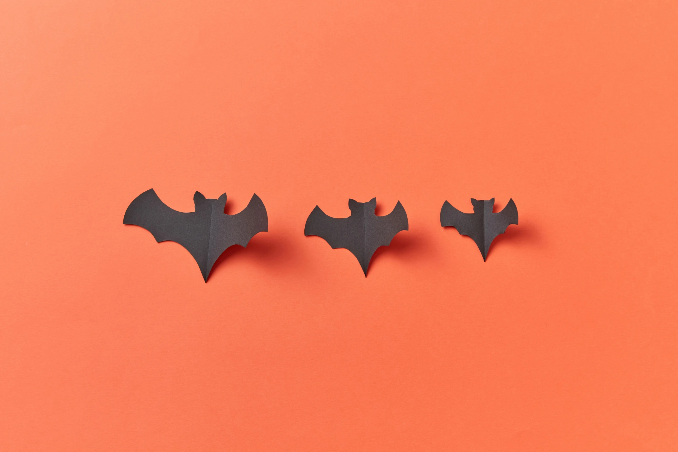 three bats sitting next to each other on an orange surface