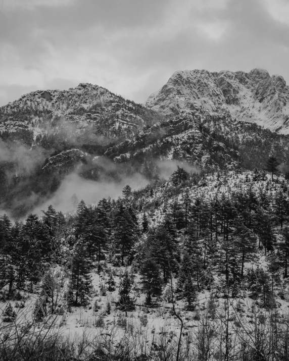 black and white po of mountains in winter