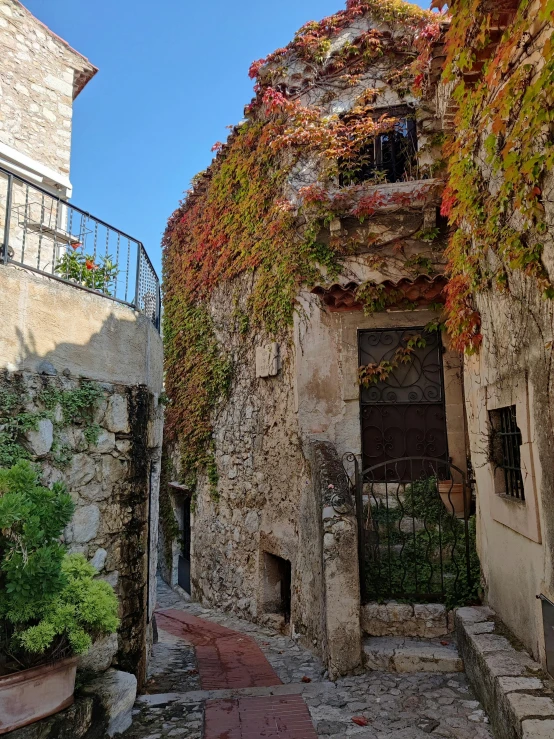 there is an alley way going through a building