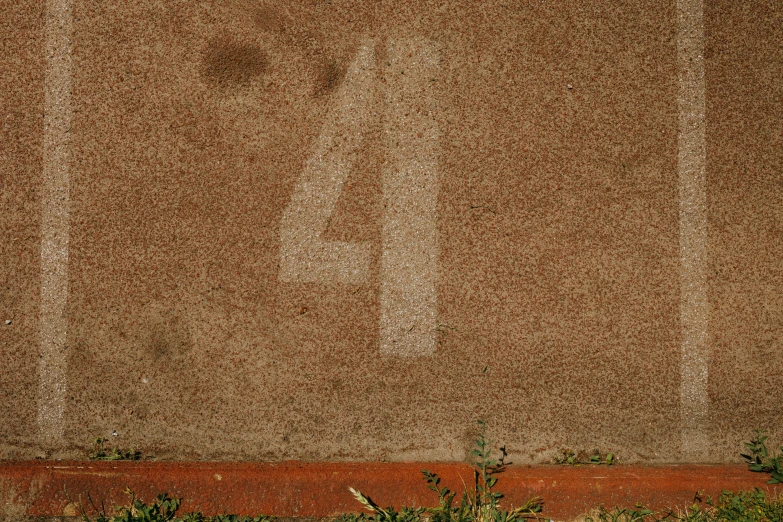 some leaves and grass near an orange cement wall