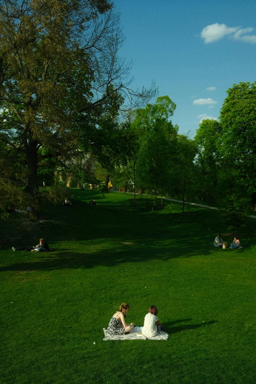 there are people sitting in the grass and eating