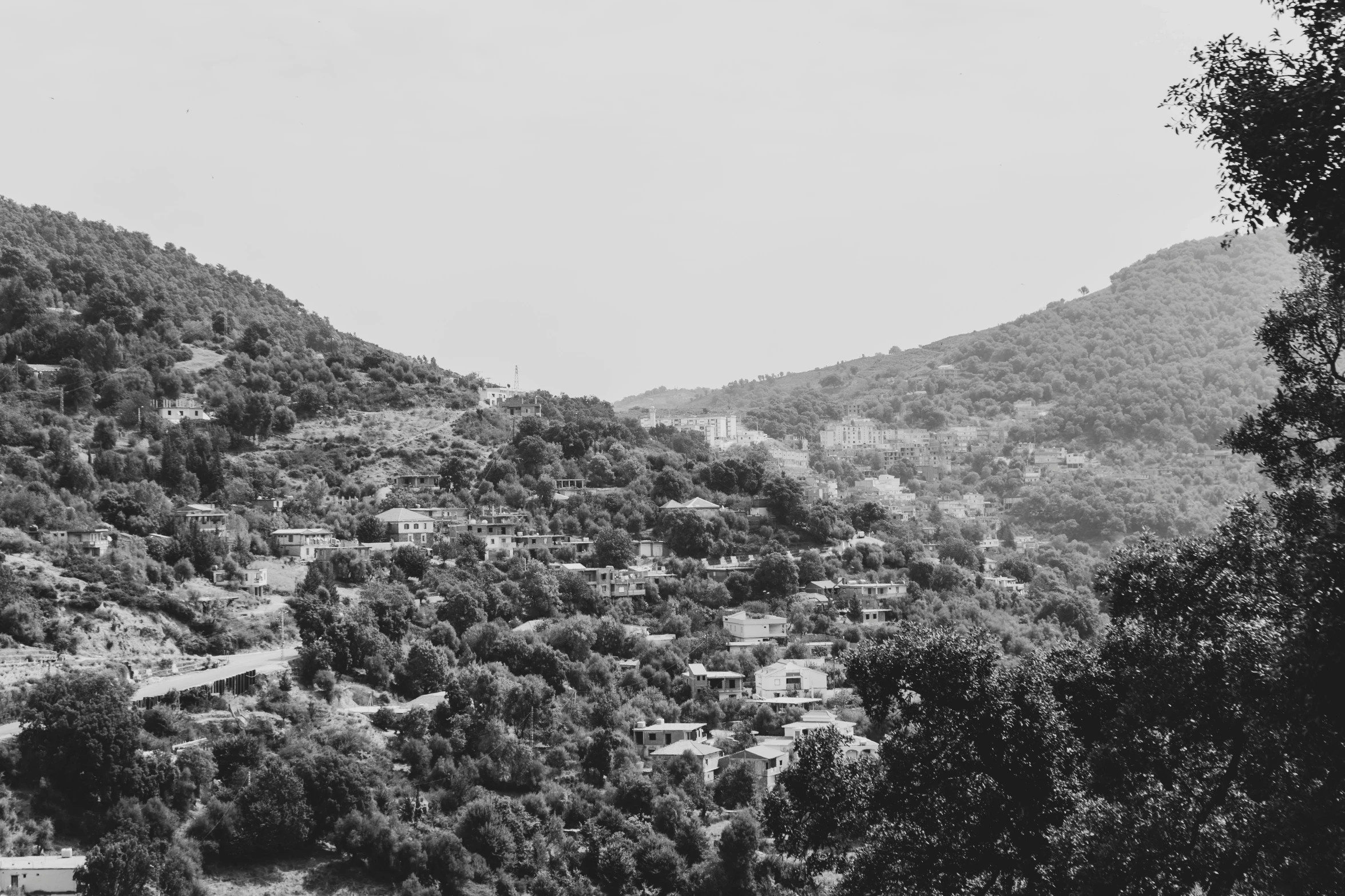 a black and white po of the side of a hill