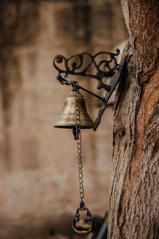 bells on the wall, leaning up against the tree