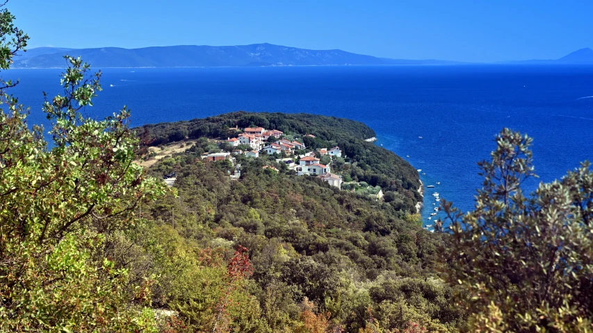 the house is on the hillside overlooking the water