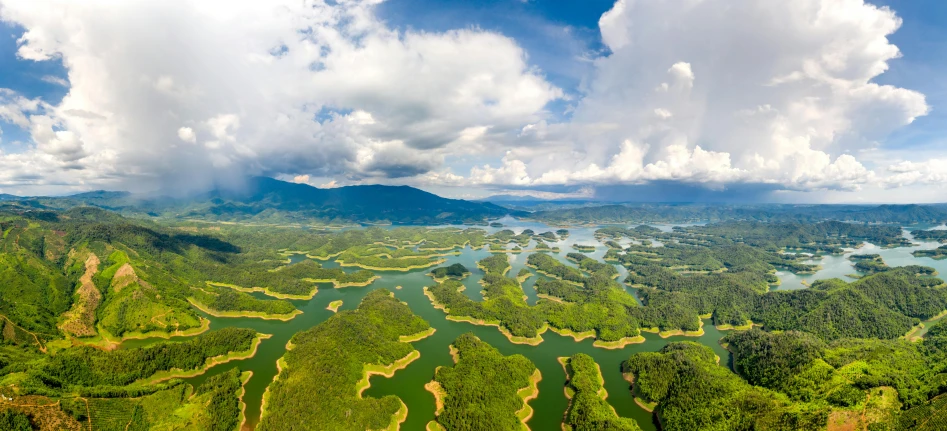 a large lush green valley covered in trees