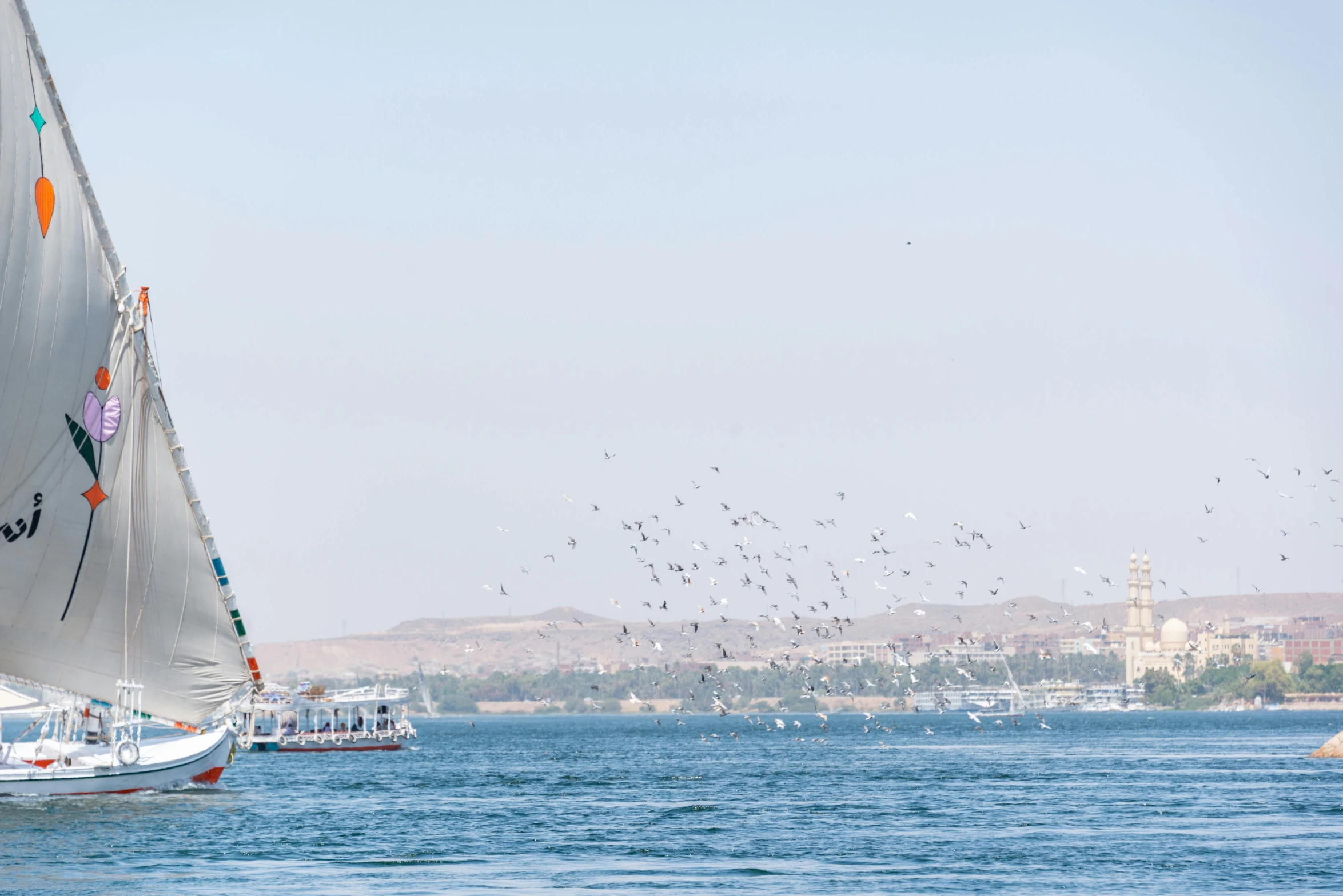 boats on the sea near the shore as a flock of birds fly overhead