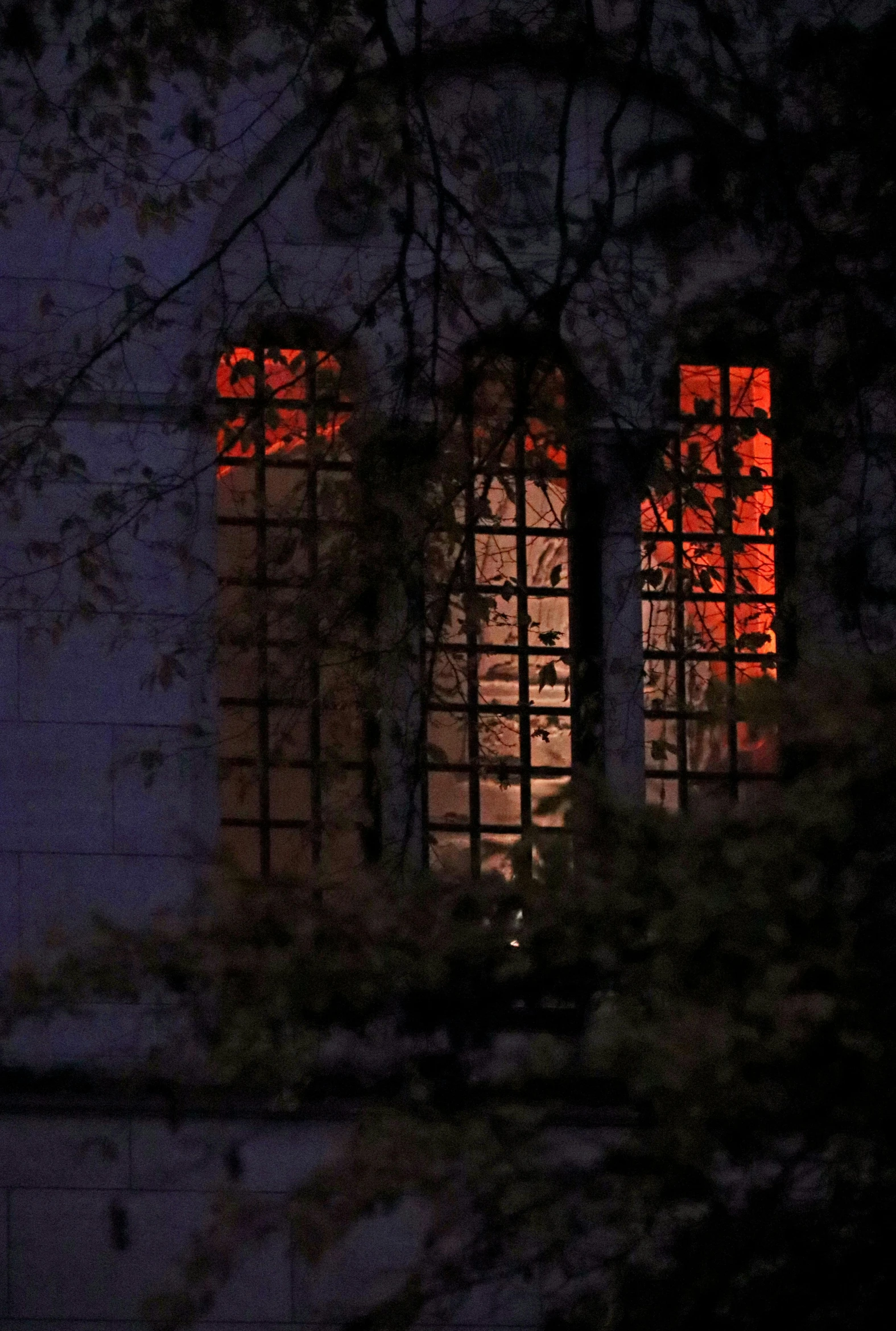 an outhouse is pictured at night illuminated by red light