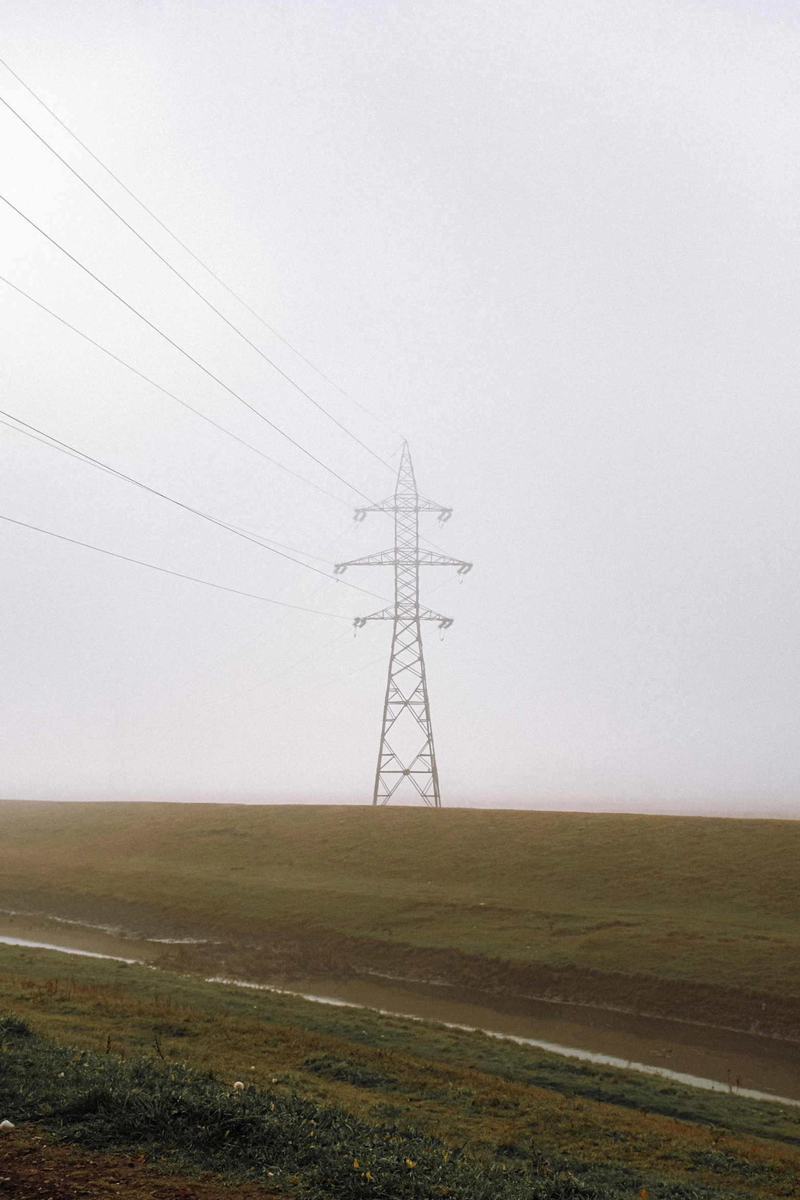 an empty pasture with power lines on the horizon