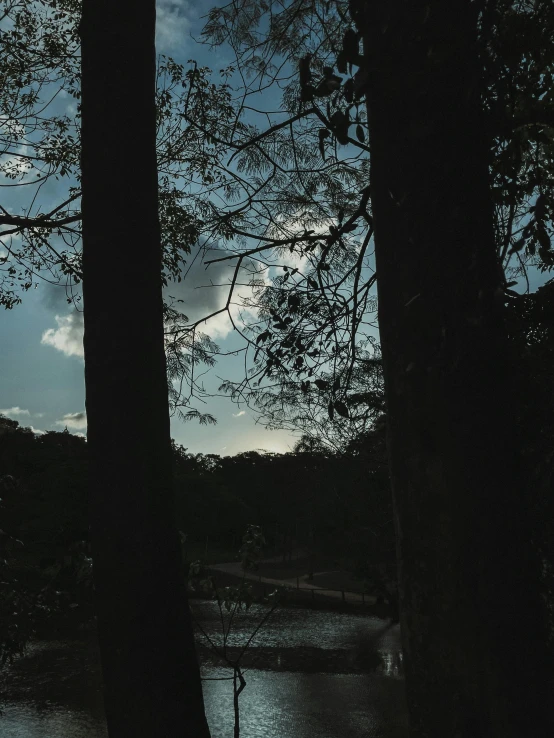 dark and cloudy evening on a lake with a few trees