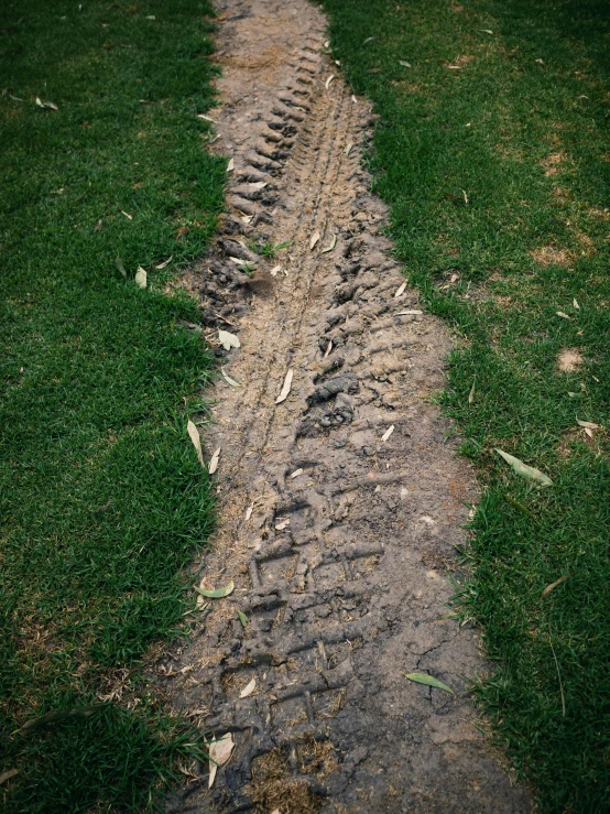 a dirt path is pictured through the grass