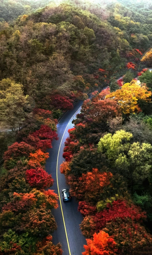 a car is driving through the country road