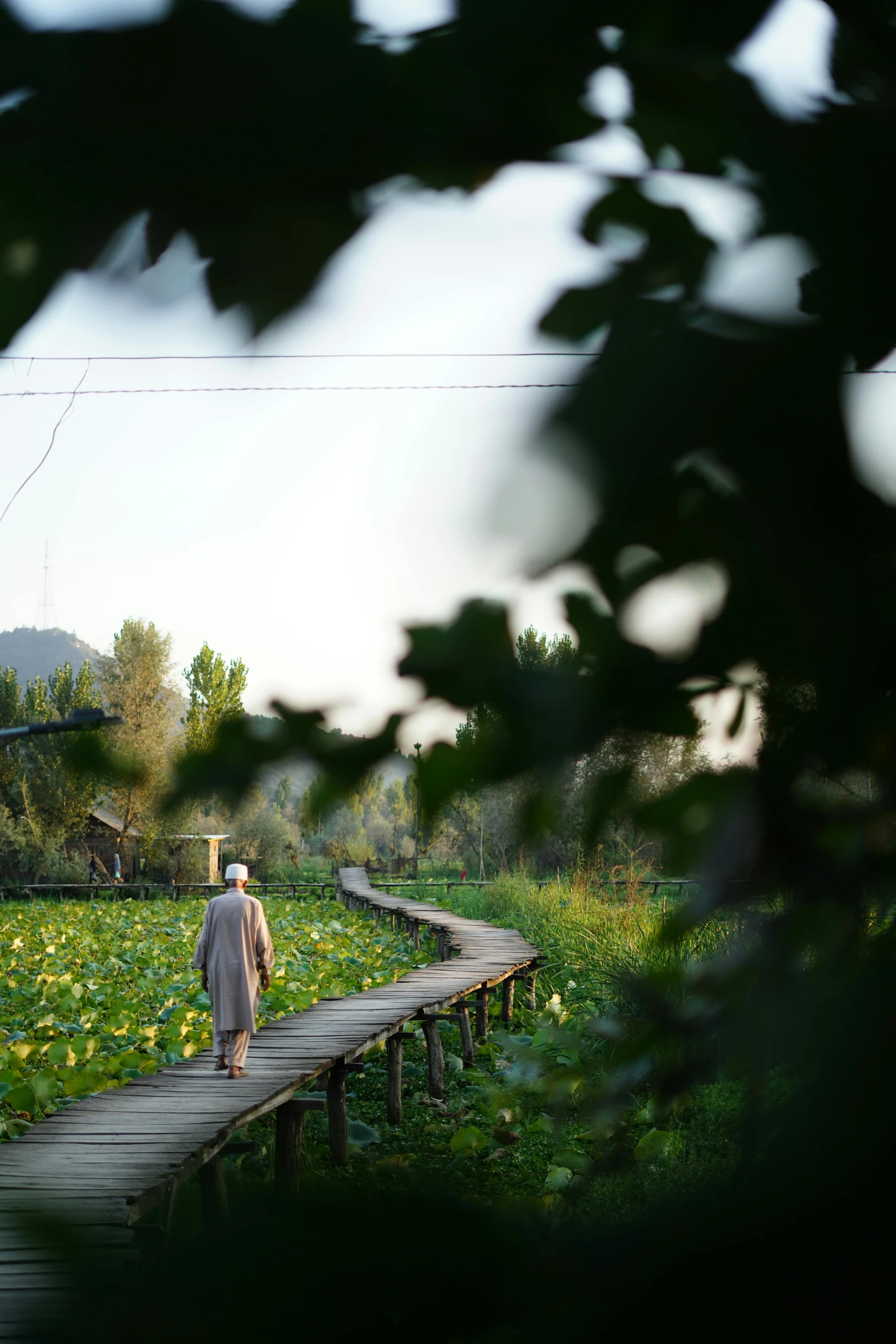 a woman walking along a wooden bridge in the middle of a field