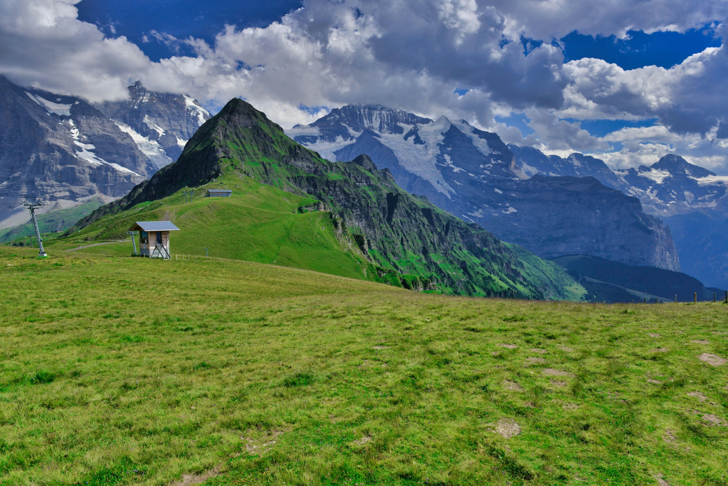 a bench sitting on the side of a lush green hill