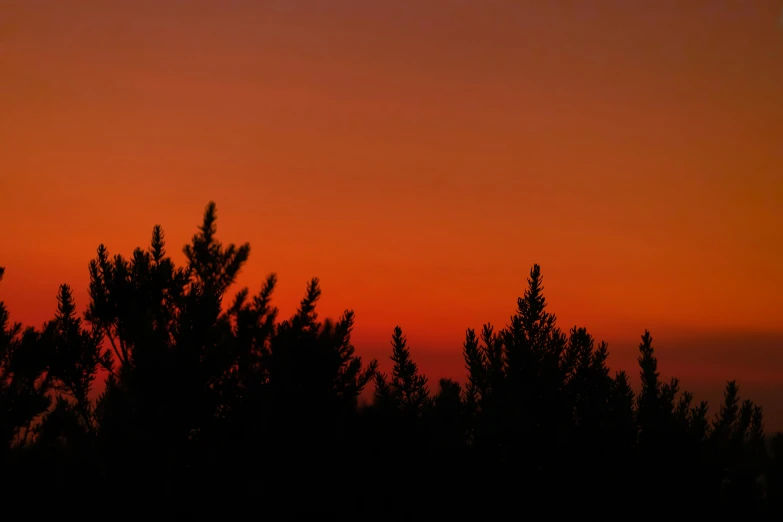 a beautiful red sky at sunset with pine trees