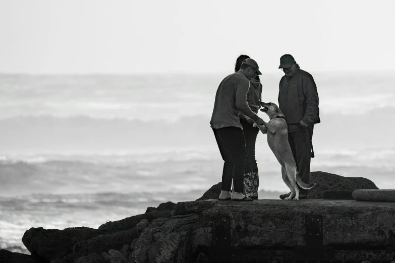 two people with a dog on top of a rock