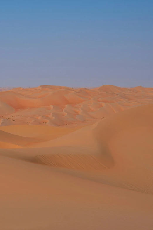 the landscape of a desert shows very tall sand dunes