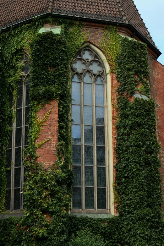 this is an old building covered in ivy