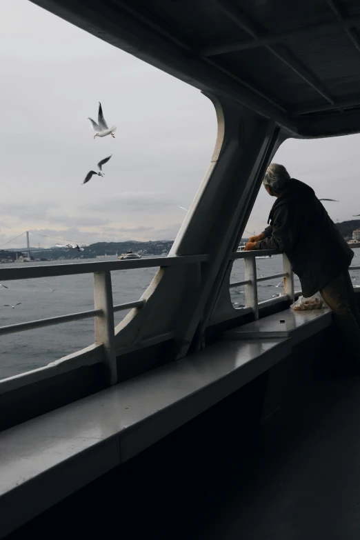 the dog is looking out at the sea and birds flying