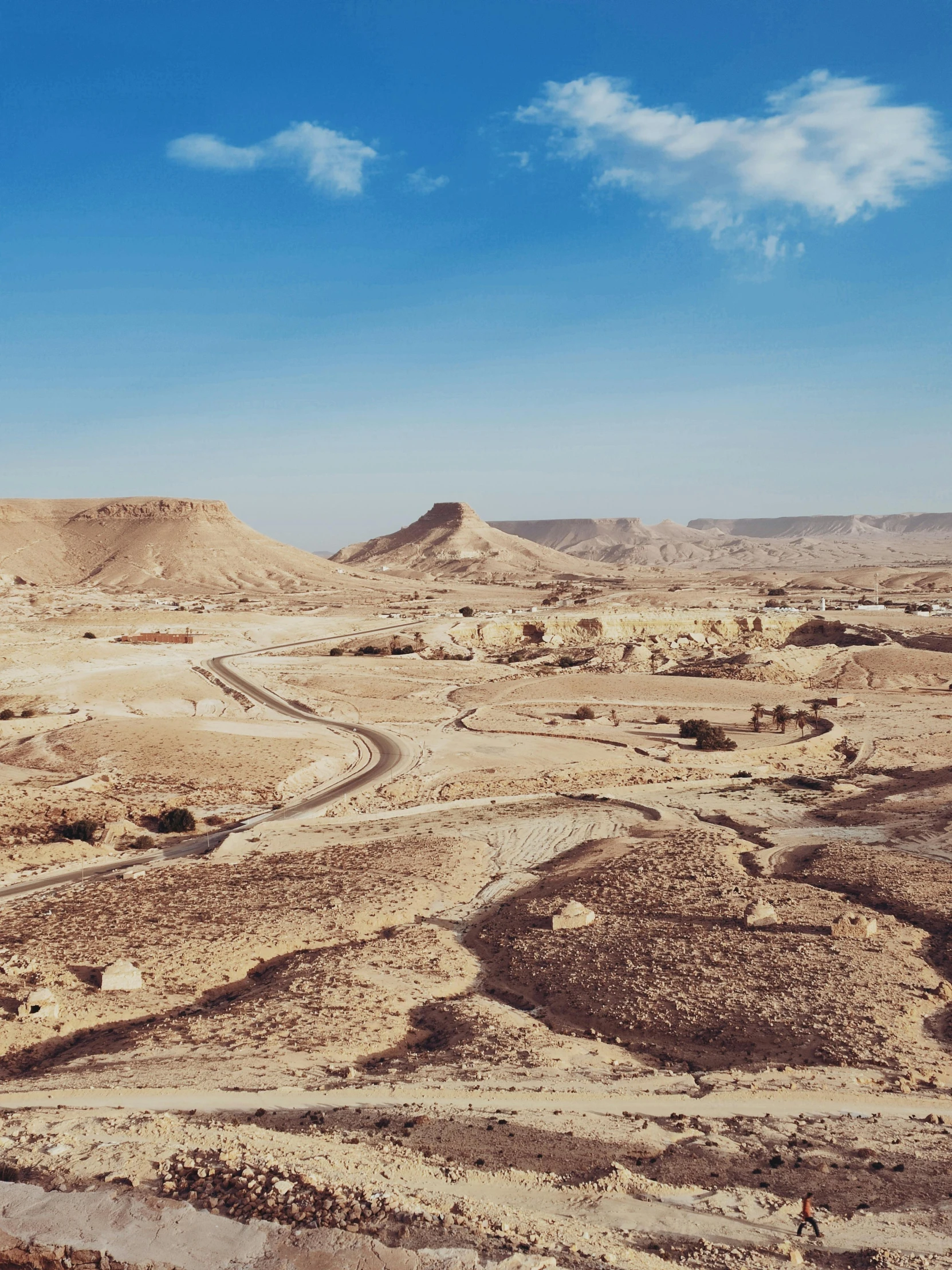 desert landscape with dirt road and rocks