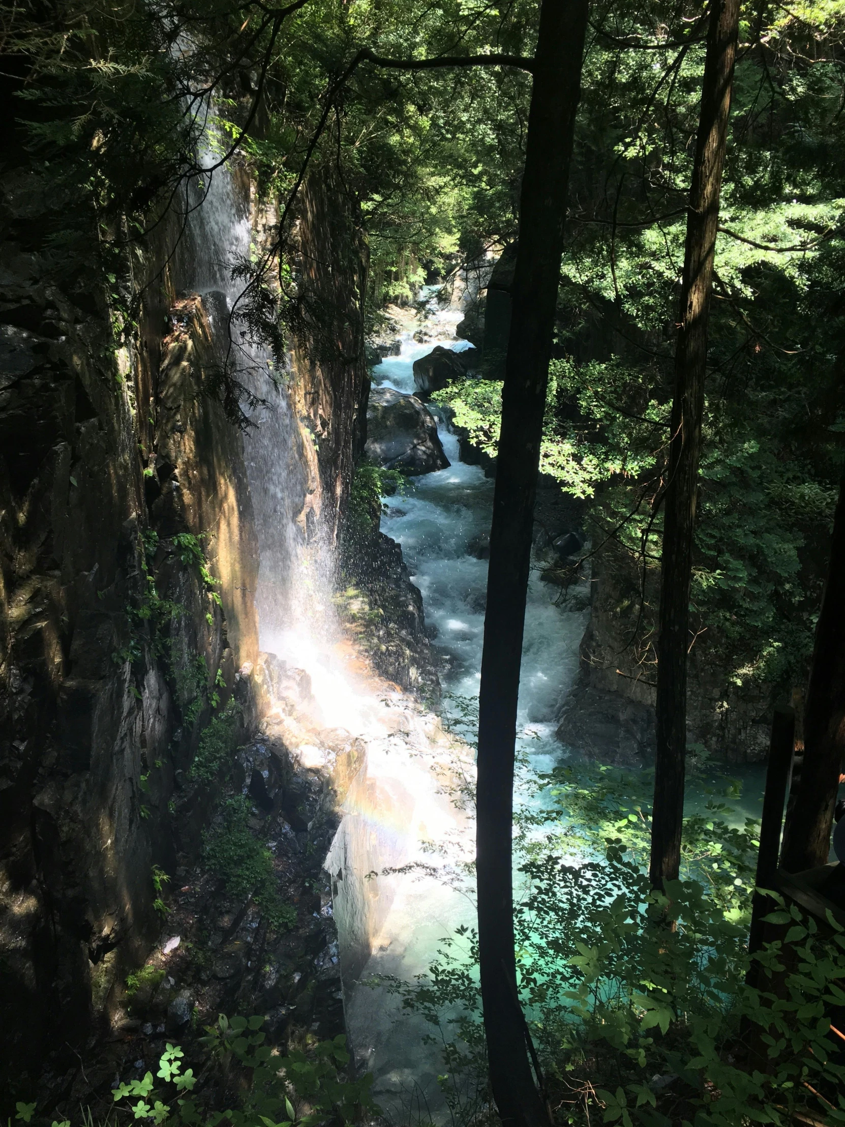 a waterfall surrounded by trees in a forested area