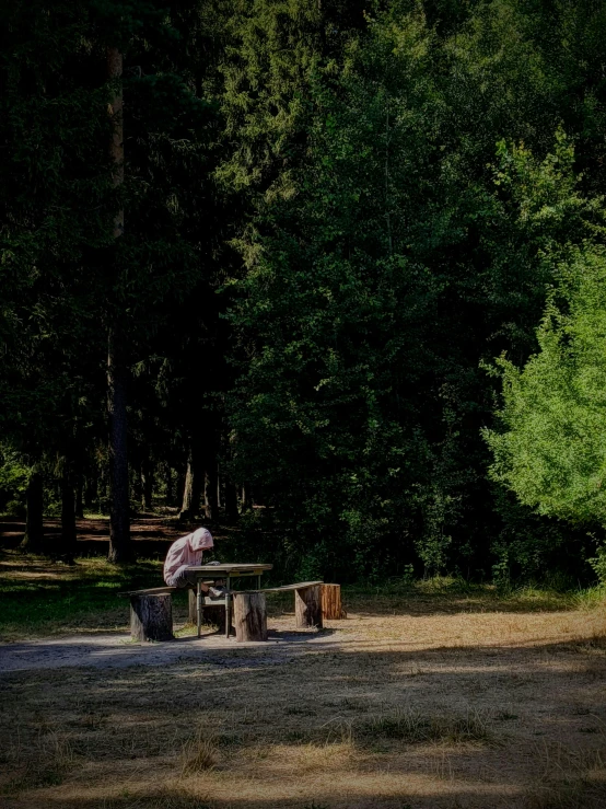 two men sitting at a picnic table in the forest