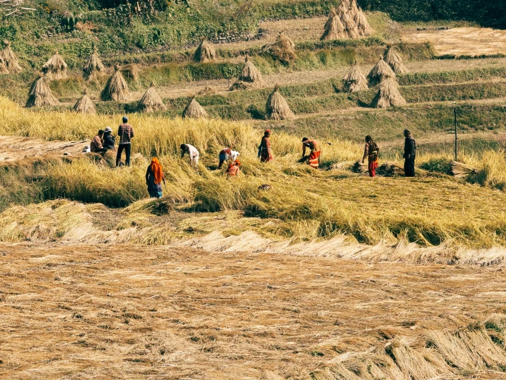 a group of people on a grass field