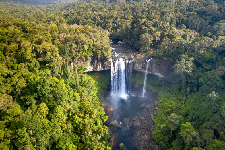 a view of waterfall surrounded by dense trees