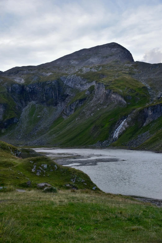 a cow is looking out over the mountains and the water