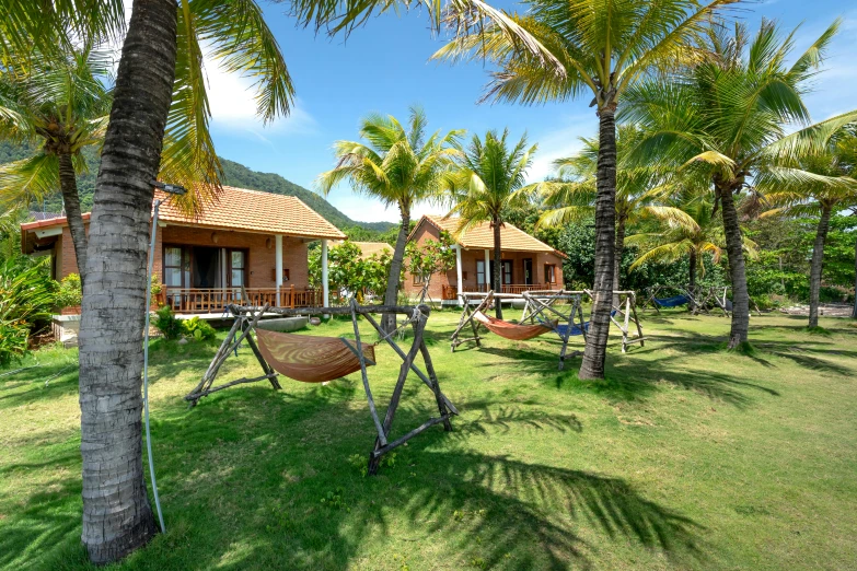 a hammock sits on a grassy field near palm trees and two cabins