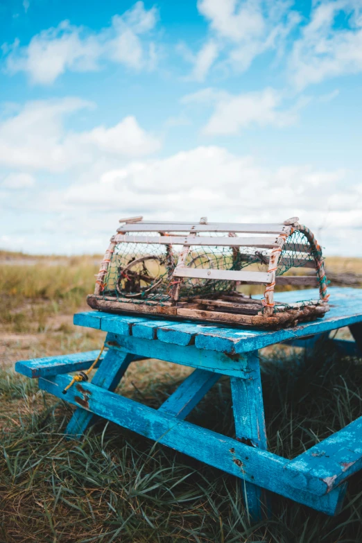 the picnic table is covered with a basket that has an old bicycle in it