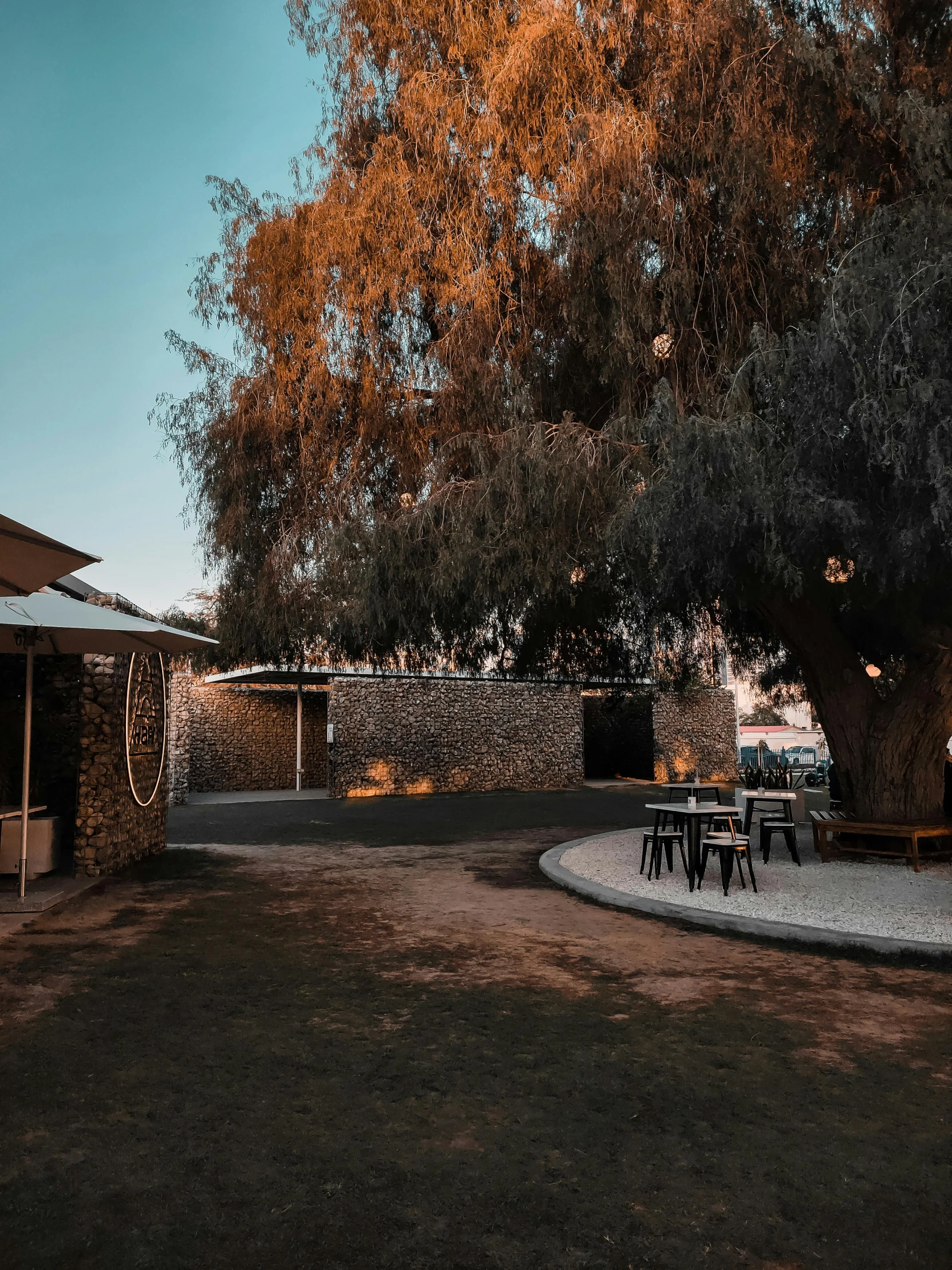 a patio, surrounded by large trees and lit up with lights