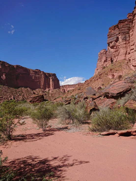 a desert with a dirt and green area