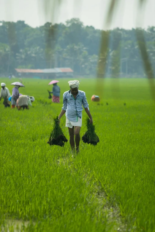 a woman is walking through some grass with two bags