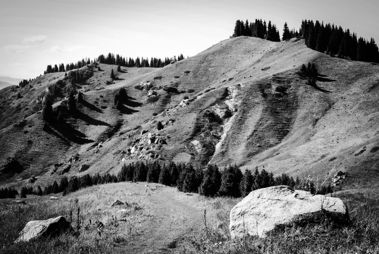 a rocky hillside with some trees in the background