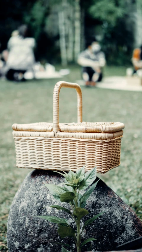 a small basket on top of a rock