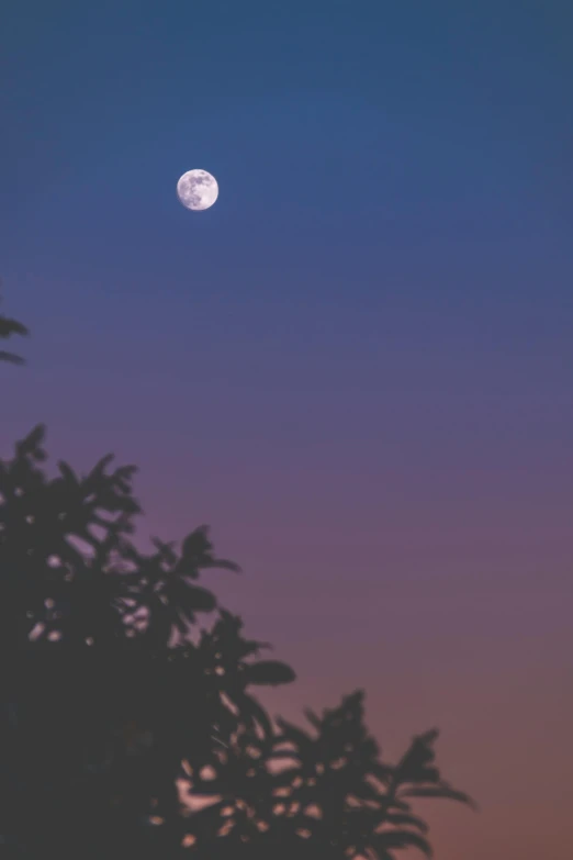 a view of the moon from the ground