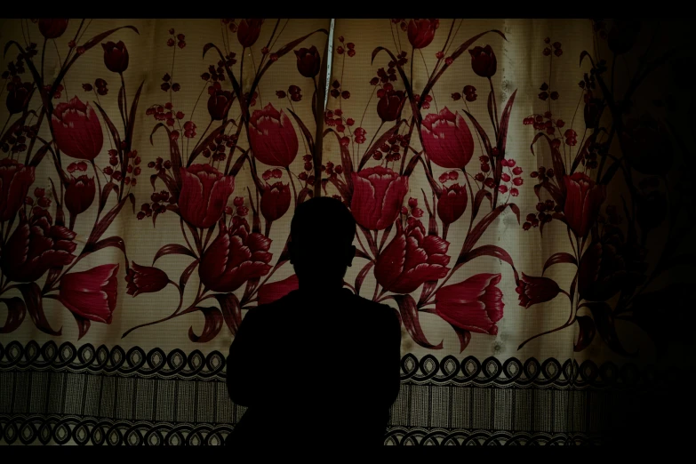 the silhouette of a person is standing in front of an oriental curtain