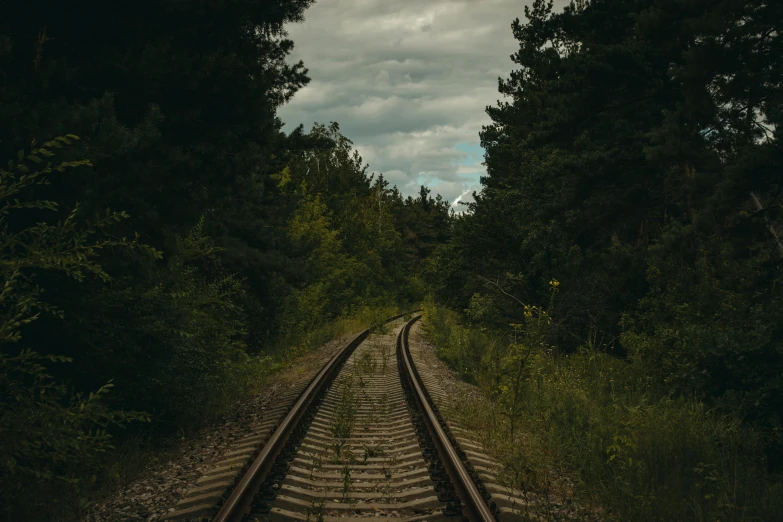 an empty train track in the middle of trees