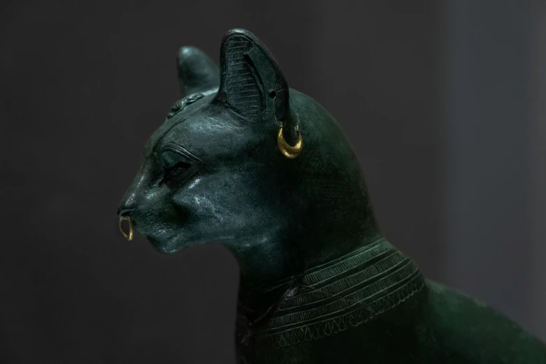 the black cat has some big gold ears