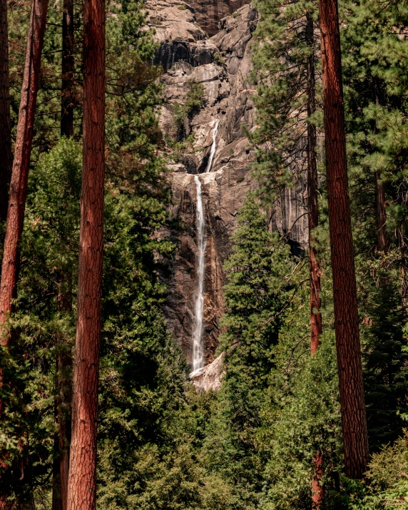 a waterfall in the middle of trees with a path going through it