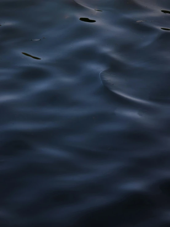 water with small waves on the surface and some trees